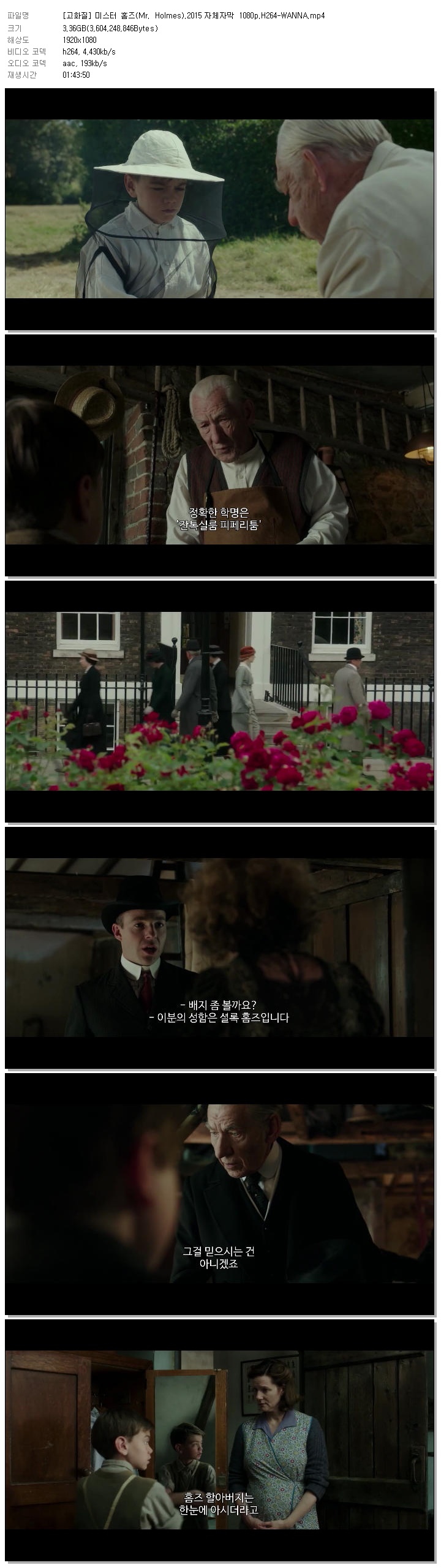 [고화질] 미스터 홈즈(Mr. Holmes).2015 자체자막 1080p.H264-WANNA