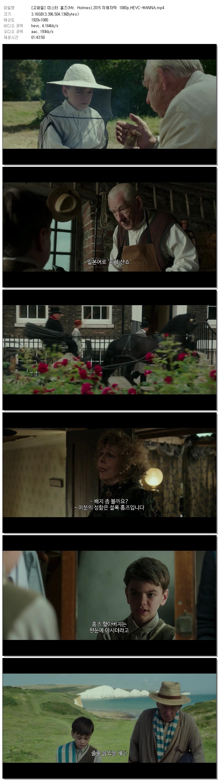 [고화질] 미스터 홈즈(Mr. Holmes).2015 자체자막 1080p.HEVC-WANNA